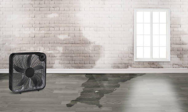 Best Sewage cleanup and water damage restoration  in Burns, OR