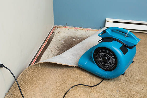 Best Water damage contractors near me  in Burns, OR
